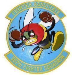 307th Fighter Squadron Patch